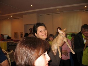 12-13.05.2012  Витебск выставка кошек (4)